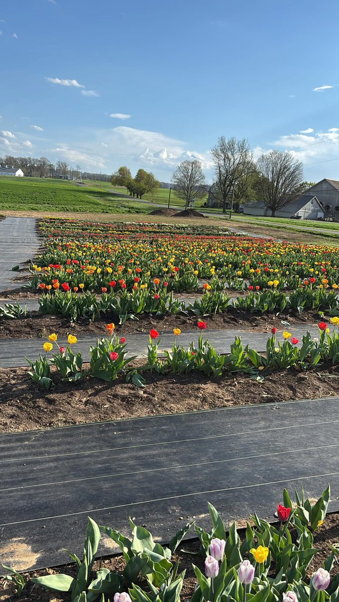 project_stoo's tweet photo. He has made everything beautiful in its time.He has also set eternity in the human heart; yet[a]no one can fathom what God has done from beginning to end. https://t.co/BwSMChgQQw