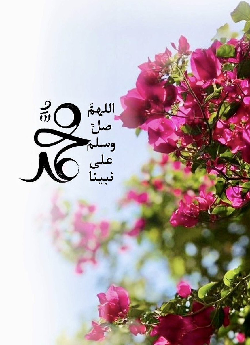 K͜͡ᗩᖇᗴᗴᗰ ღ ρڪَـريۧــ ❥ tweet media