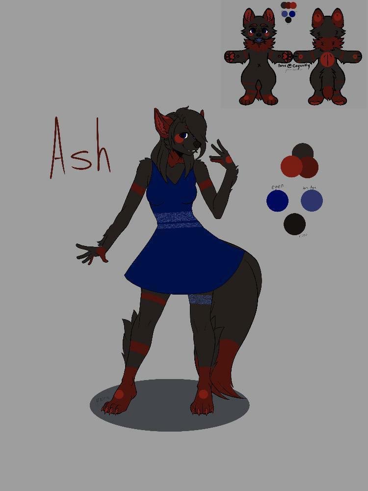 StillInThe Limbo tweet media