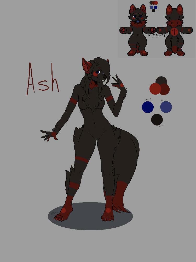 StillInThe Limbo tweet media