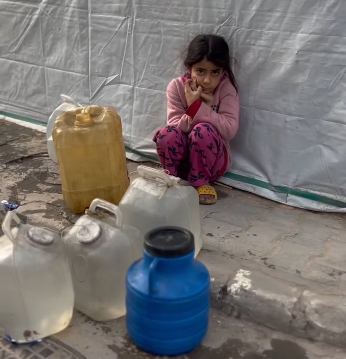 Dr. Yousef 🇵🇸 tweet media