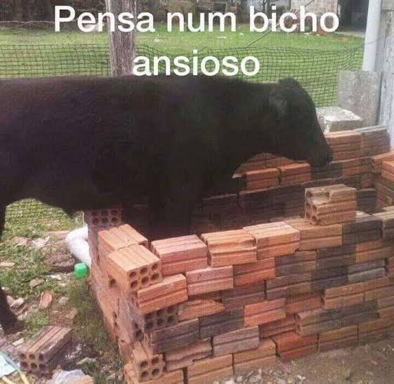 clarinha 𖹭 tweet media