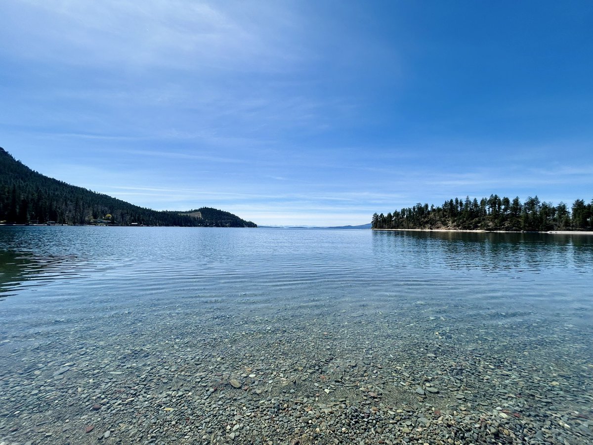 ERobbins tweet media