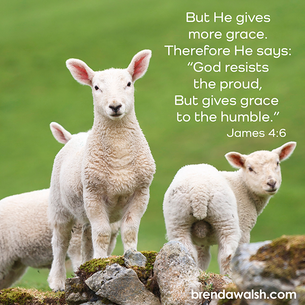 brendakwalsh's tweet image. Today's Daily Scripture Picture: The Greater Grace
James 4:6 – “But He gives more grace. Therefore He says: ‘God resists the proud, But gives grace to the humble.'”

#Christian #ChristianLiving #verseoftheday #bible #bibleverse #grace #humble #humility #pride #proud #life #choice