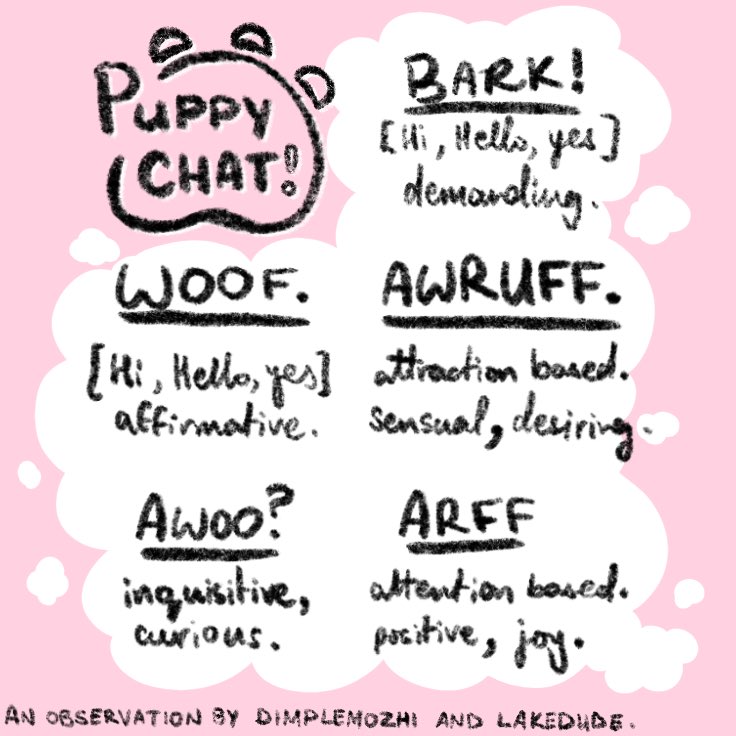 Dimple Mozhi 🐾 tweet media