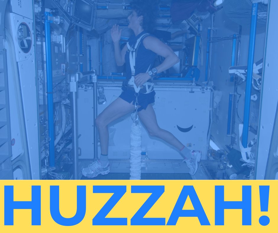 USS Constitution Museum tweet media