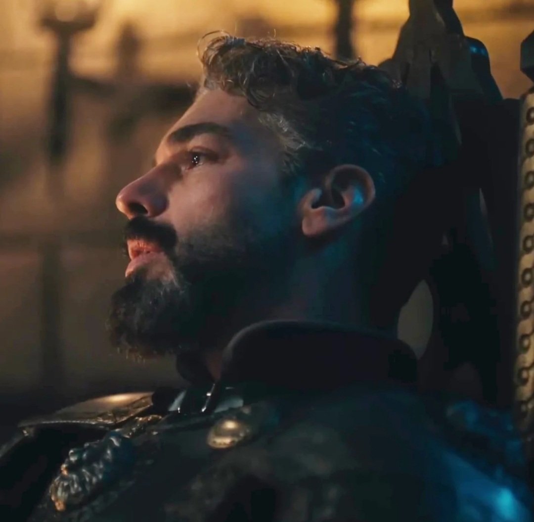 phoenix🕊 tweet media