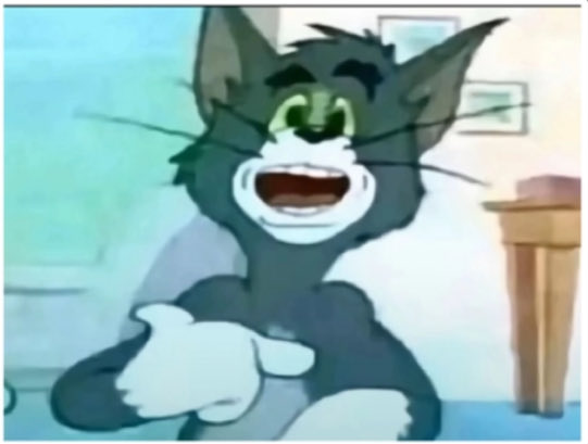 Sul.a.f🪙 tweet media