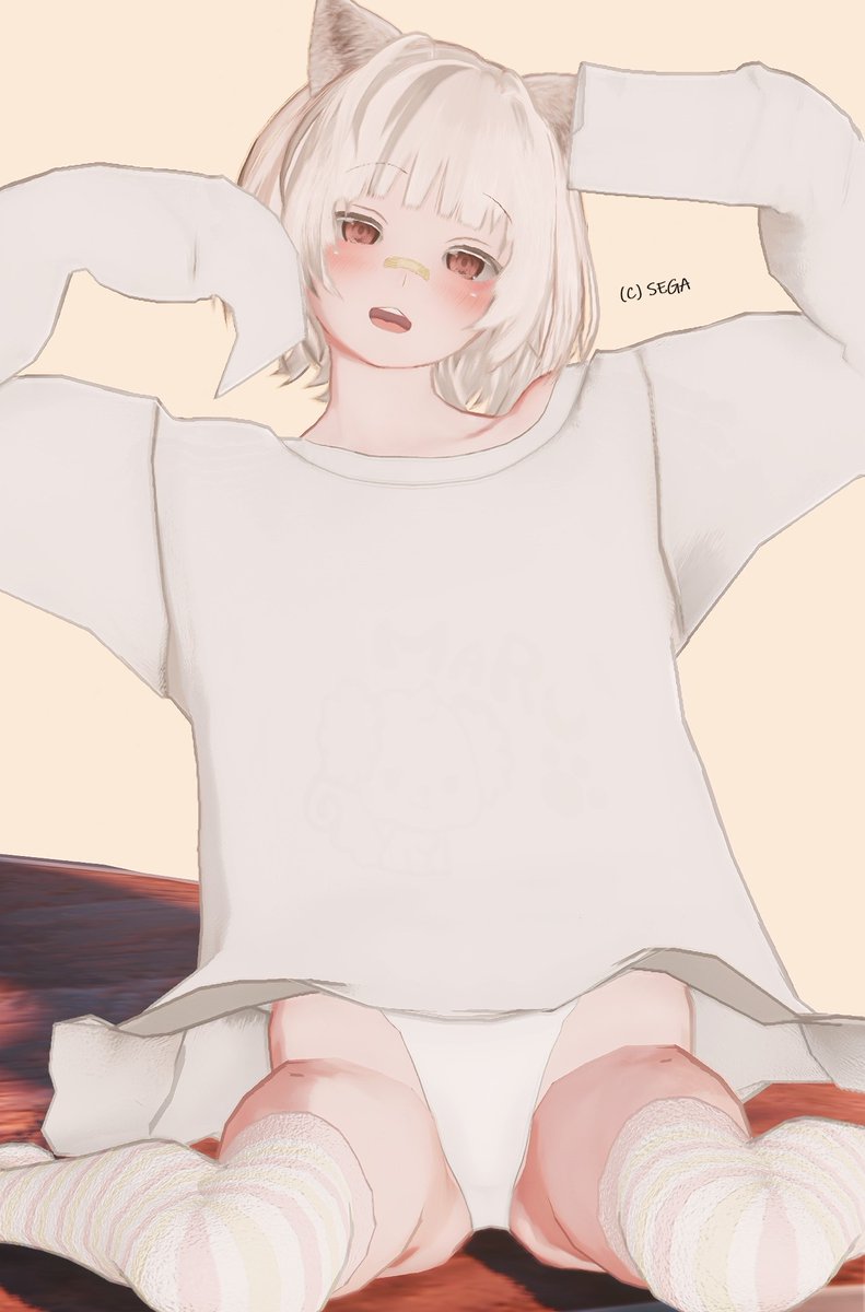 エレキューPSO2＠ship5 tweet media