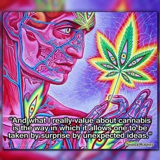 THE WATCHER👑👁️ tweet media