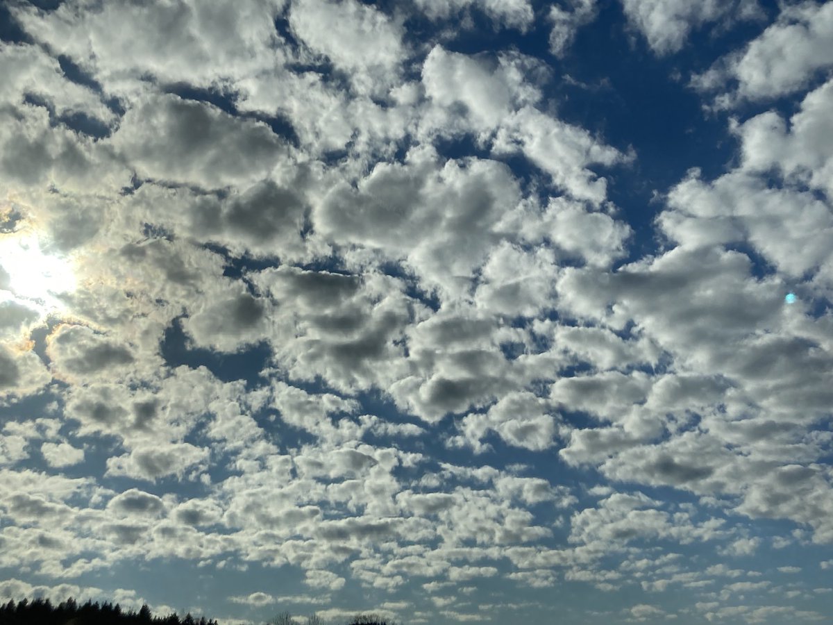 🍒Princess Liz🍒 tweet media