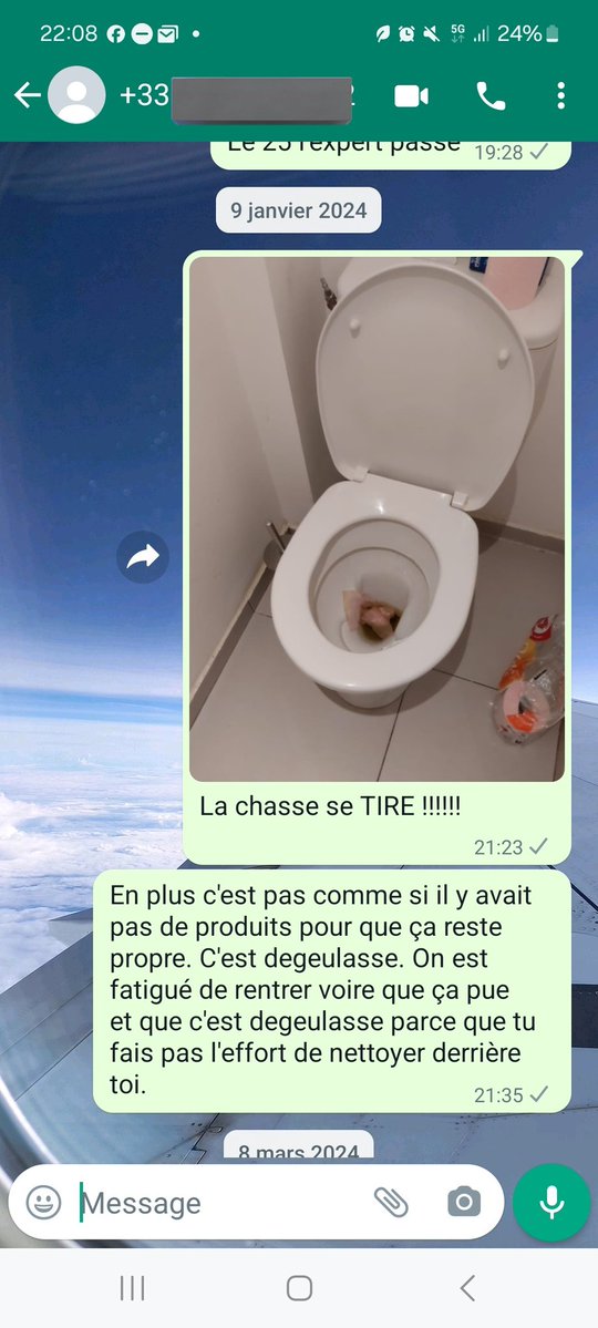 ti boyo 🇷🇪🦎 tweet media