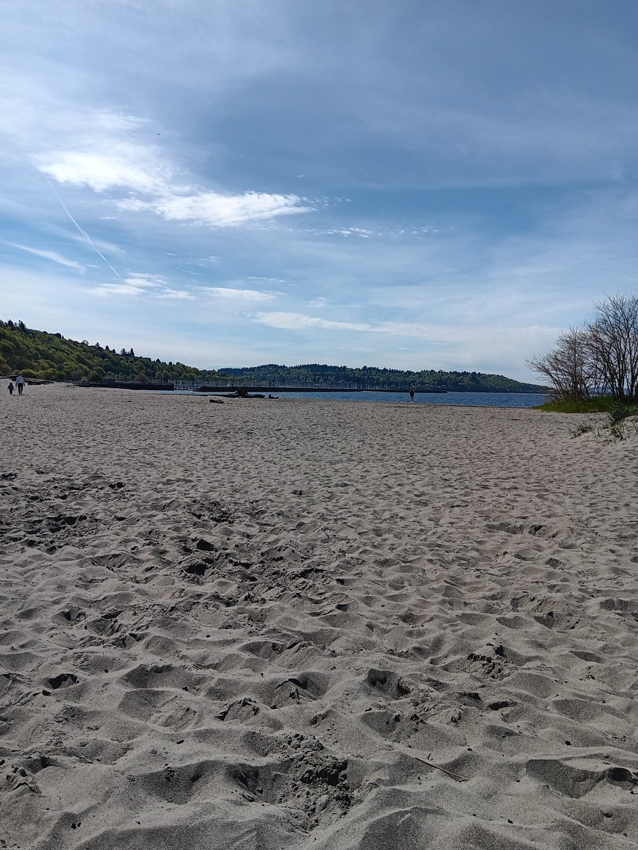 waywardsaxon2.0 tweet media