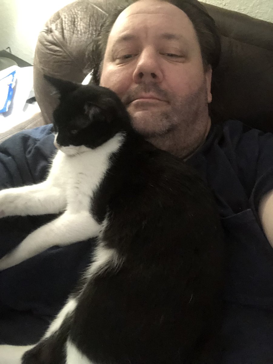 calboone's tweet image. When you want to get up to eat but someone has other plans for you…  #catlife