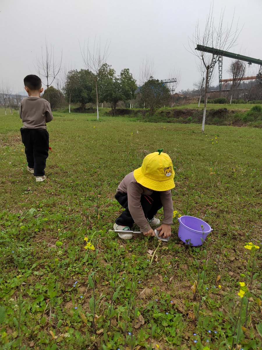 Mass Media Studios tweet media