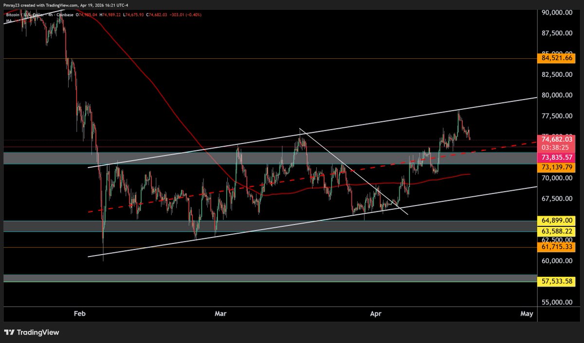 Mitch Ray tweet media