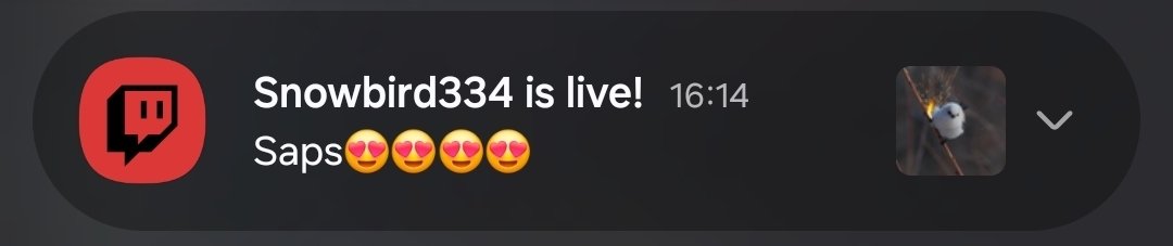 flluerr | z‚ 💿 tweet media