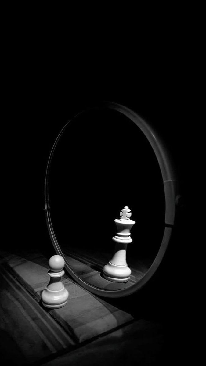 Graci Digitals tweet media