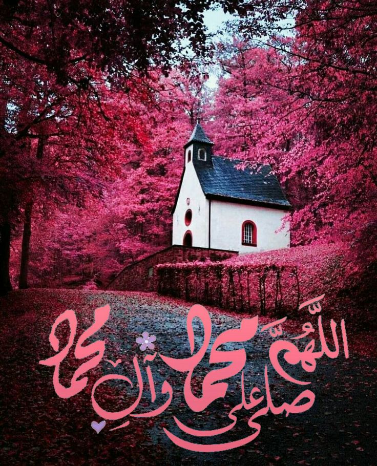 زهرة اللوتس 💍❤ tweet media