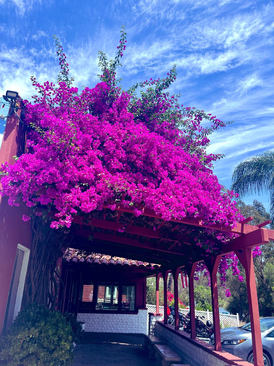 Sunshine tweet media