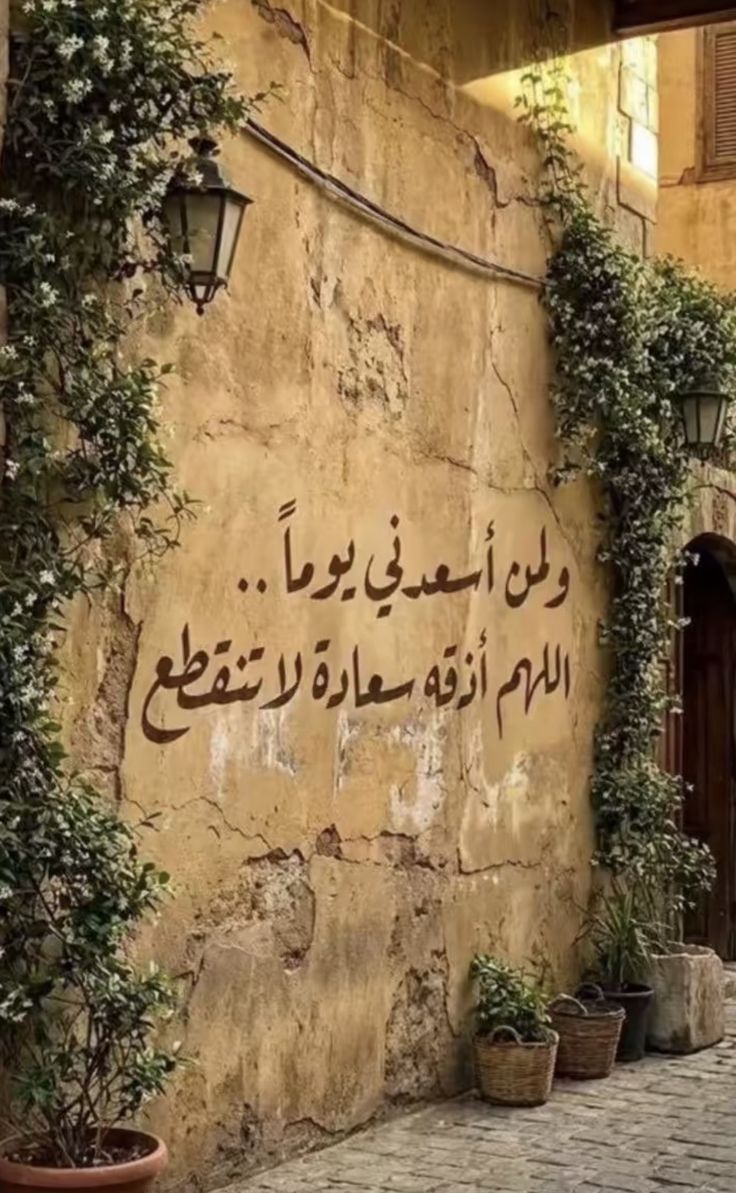 اسامة عبد الفتاح tweet media