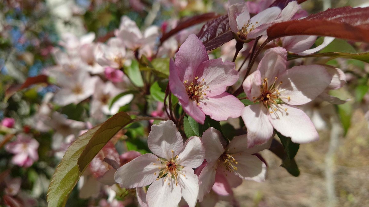 WolvenOne tweet media