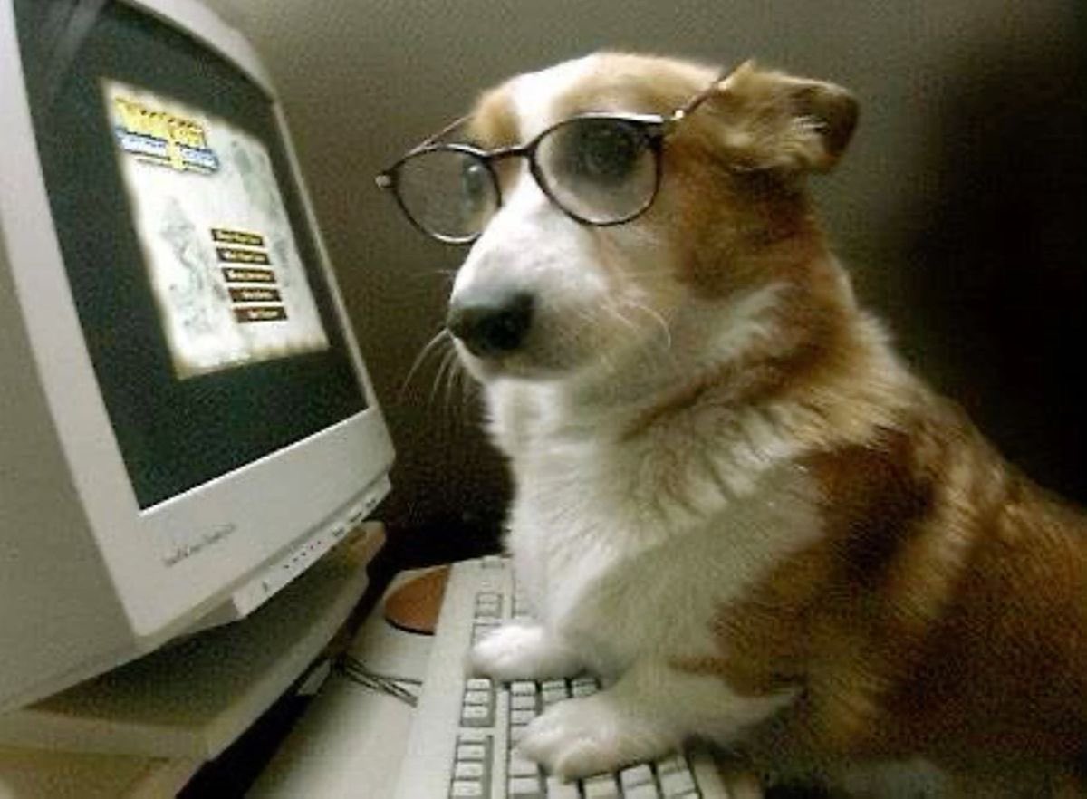 CC ʚɞ (-5,3/20kg) tweet media