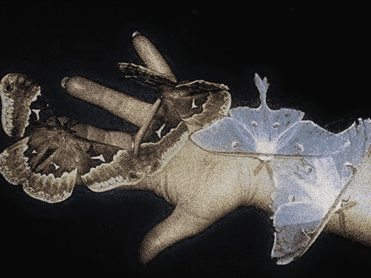 𝓐𝐌𝐄-𝐂𝐇𝐀𝐍 ˚˖࿔ ࣪ tweet media