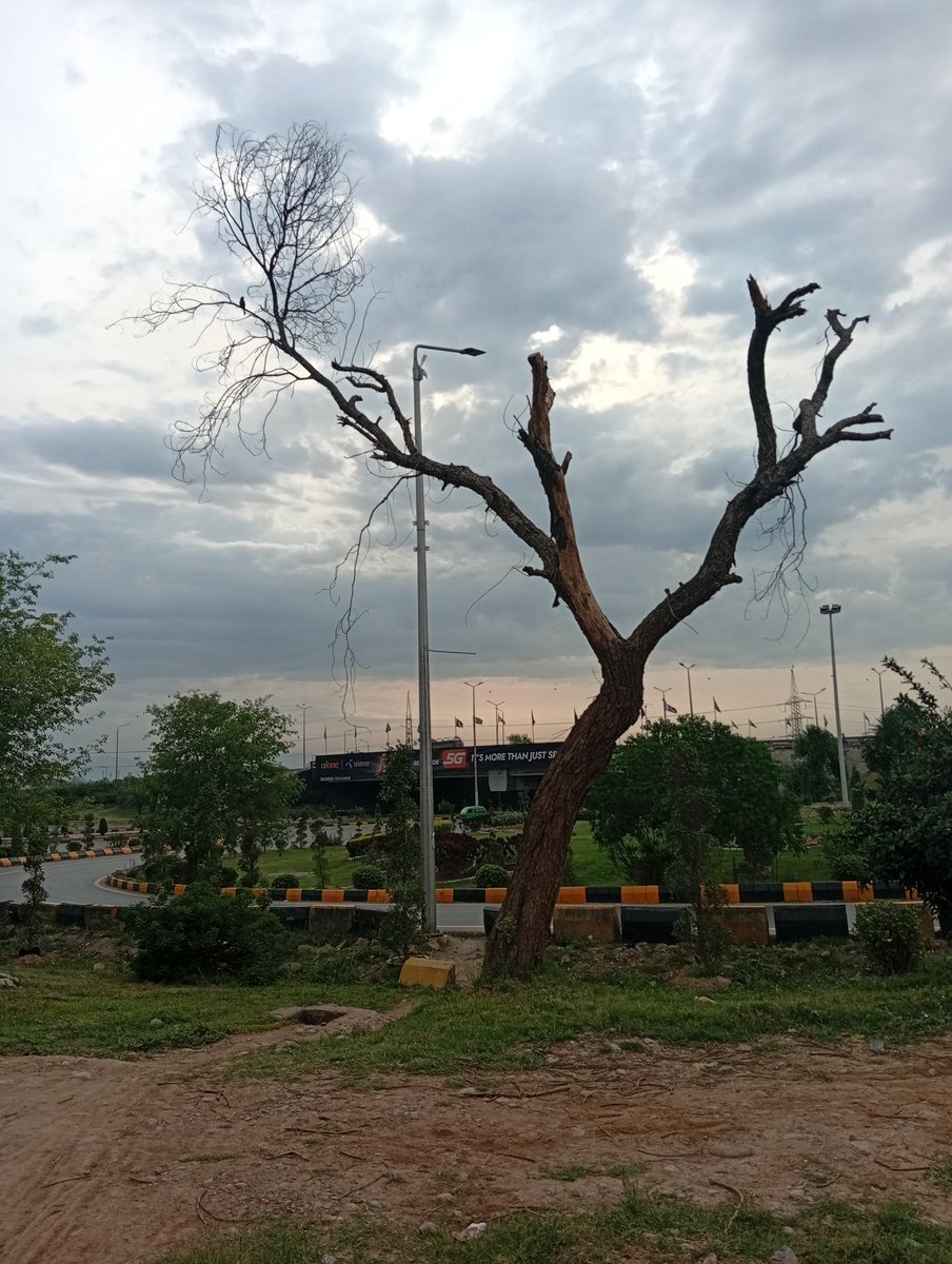 only_muneeb15's tweet image. Reason Islamabad is the 3rd most beautiful capital in the world ❤️😍 
#beauty #nature