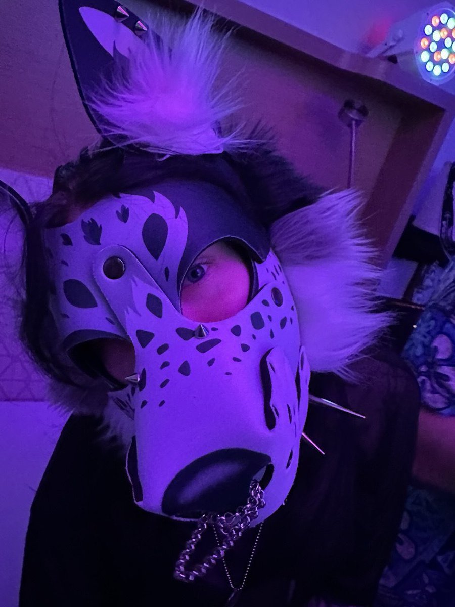 🪲Alex 🔜 FWA tweet media