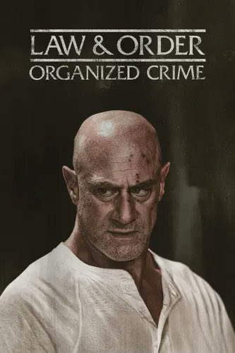 theheidihom01's tweet photo. I WANT MY FAVORITE SHOW BACK!! #SaveOrganizedCrime @nbc @UniversalTV @WolfEnt @peacock https://t.co/Ku4NlWcCwN