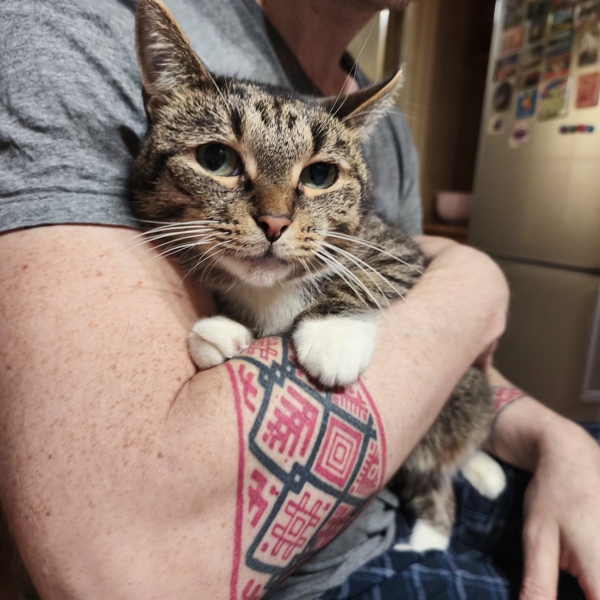 Александр Н. tweet media