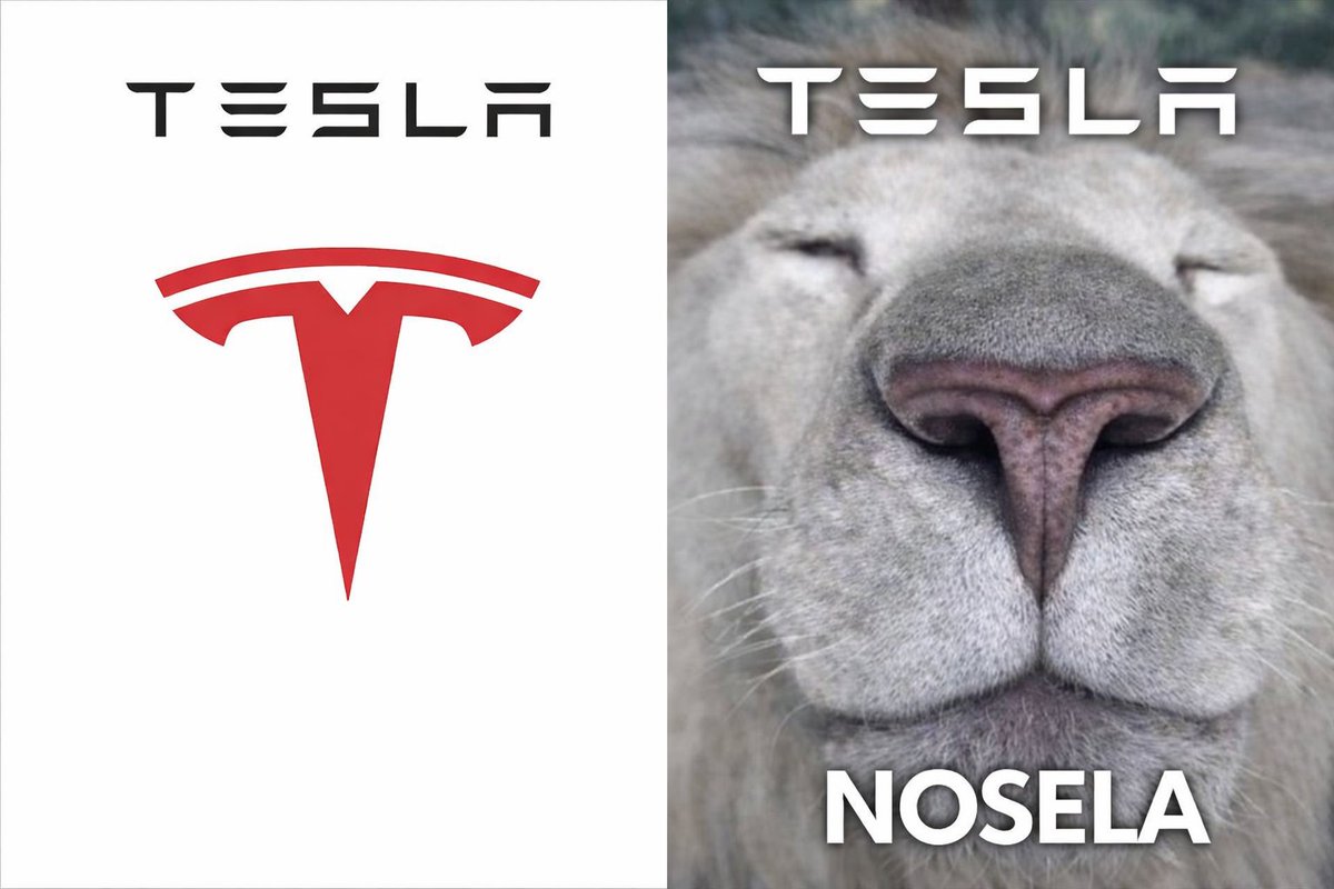 nix_nit's tweet photo. @elonmusk I see where u stole logo from https://t.co/lcwcfb3FCH