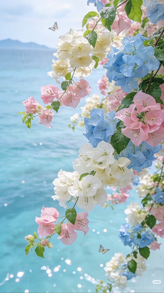 Solithra's tweet image. 