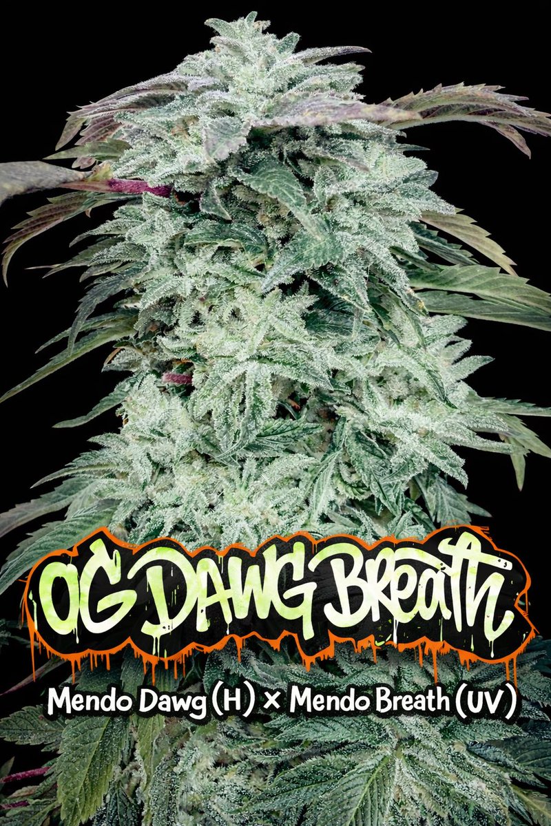 UFO_Genetics's tweet photo. https://t.co/YYhvd4tx6Z