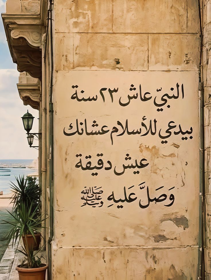 اسامة عبد الفتاح tweet media