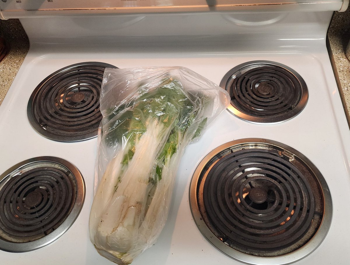 sYNTHESIS tweet media