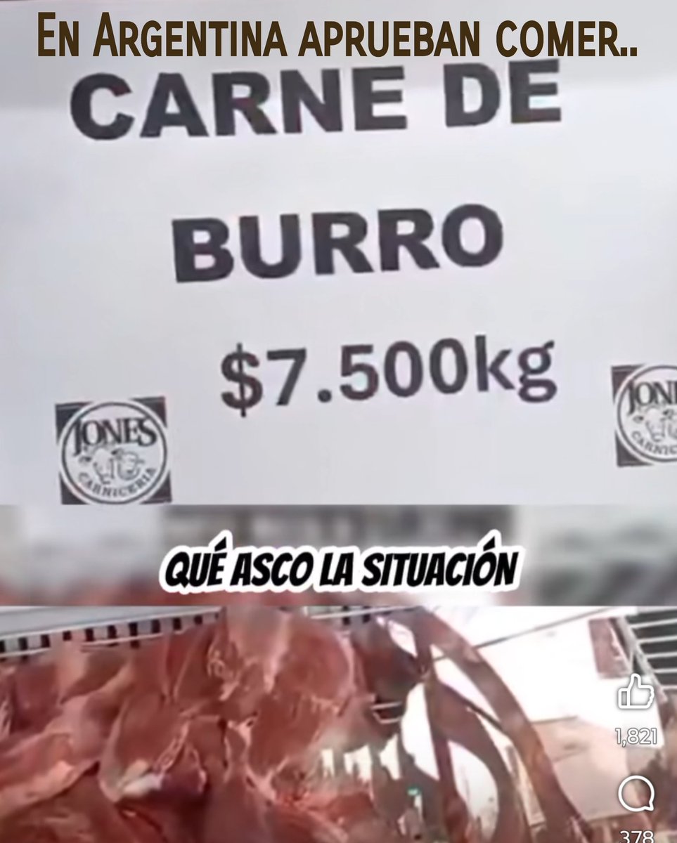 sgallardog27's tweet photo. @CaracolRadio @petrogustavo les va poner Presidente en Argentina, y se llama @Kicillofok 
Pues, el fascista @JMilei puso a comer carne de Burro 🫏 a este país, con una nefasta política económica que mata a la gente pobre.
Ese es el Milei, que Adoran y Copian 
@PalomaValenciaL y @AbelardoPTE https://t.co/WbB2QMB7fB