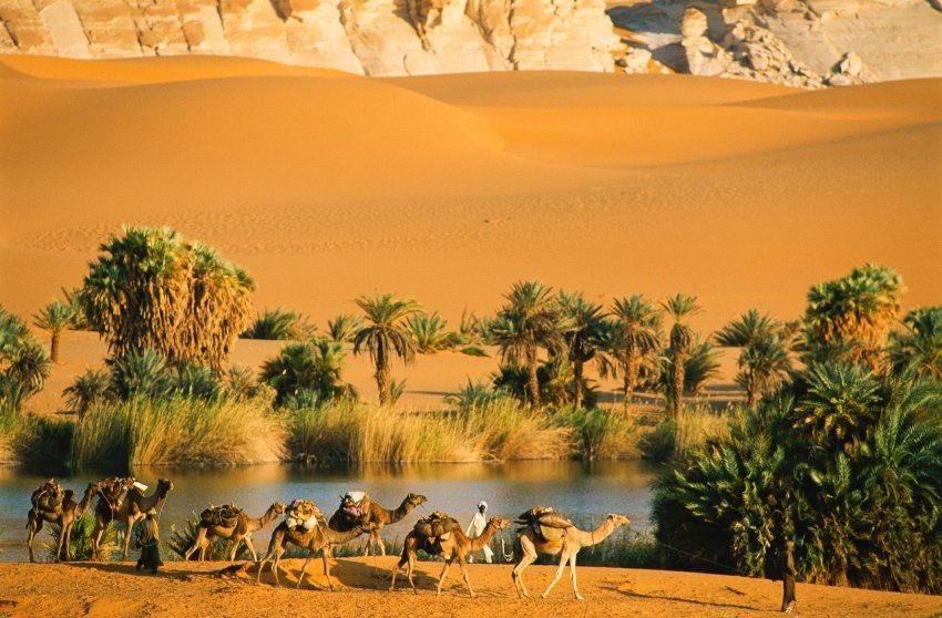 aseelswaid9's tweet image. The amazing diversity of the desert Libya