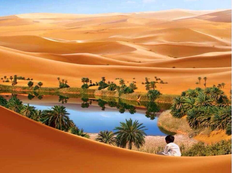 aseelswaid9's tweet image. The amazing diversity of the desert Libya