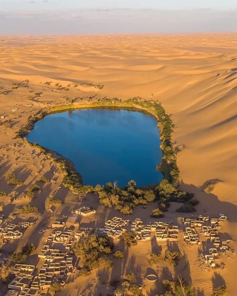 aseelswaid9's tweet image. The amazing diversity of the desert Libya