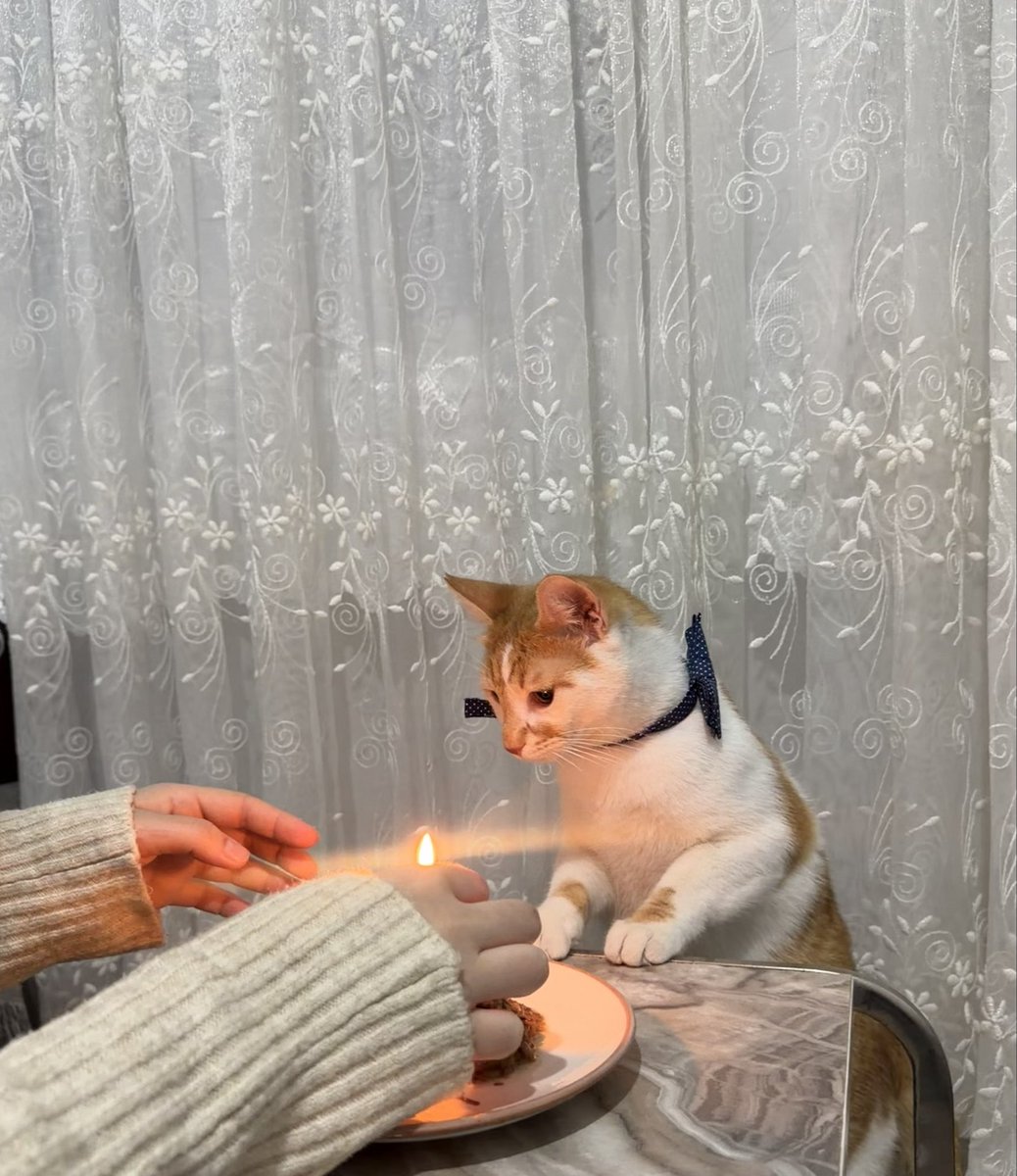 Büyüdümmm 🥳