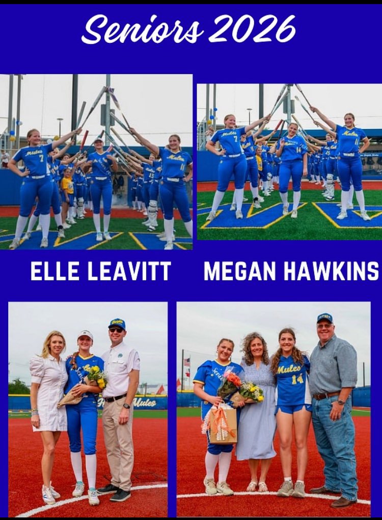 AHHS Softball tweet media