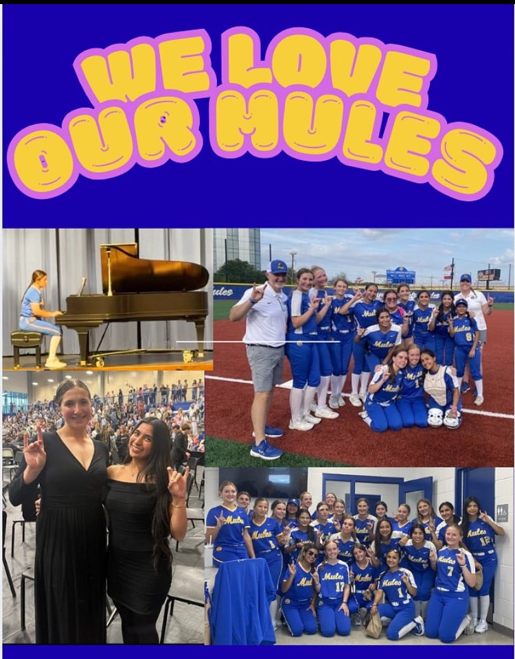 AHHS Softball tweet media