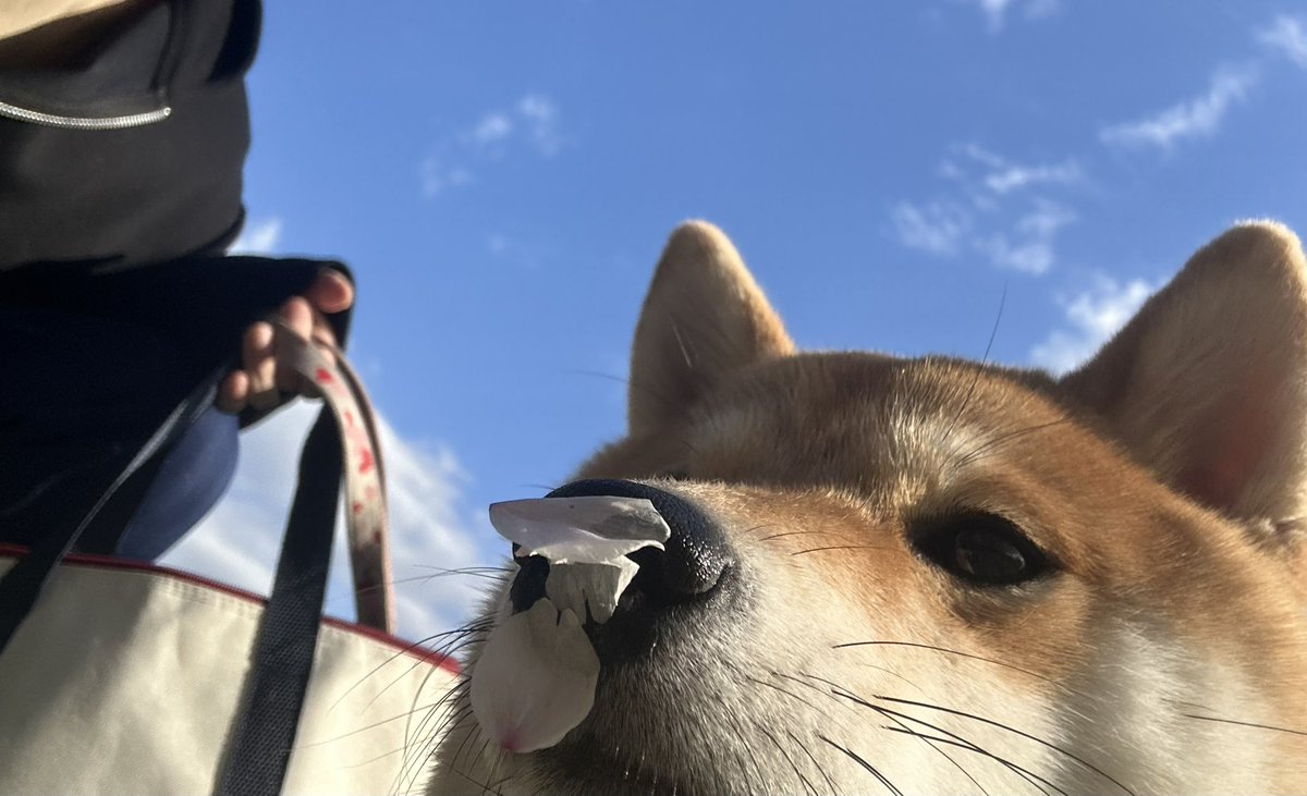 ほら鍵引用しろよ