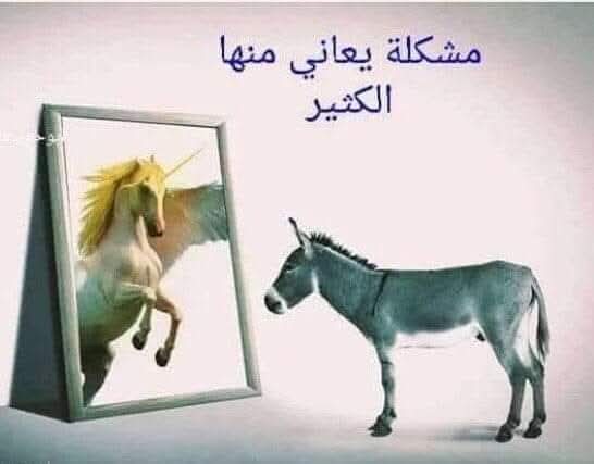 shosho777ss_'s tweet photo. #رأي.........🤠🥳 https://t.co/rtRgmd7Obp