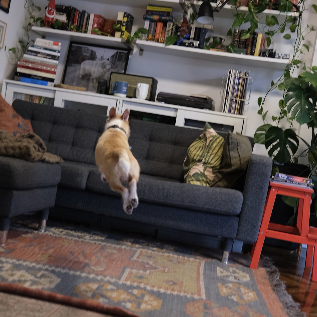 Dobrodošli u Pičkovac tweet media