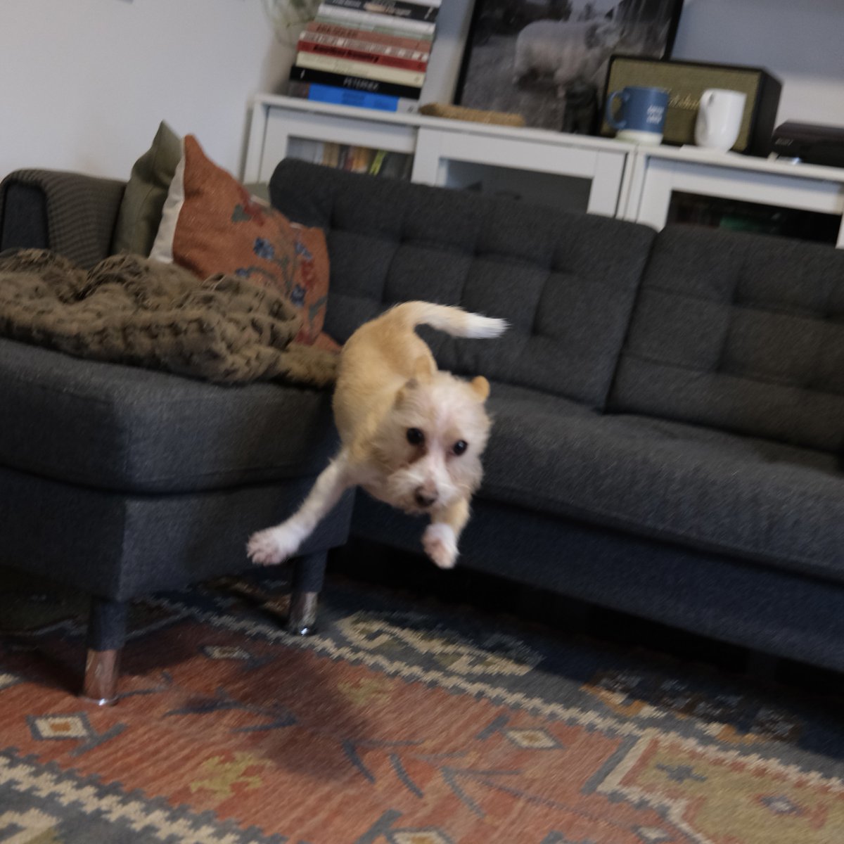 Dobrodošli u Pičkovac tweet media