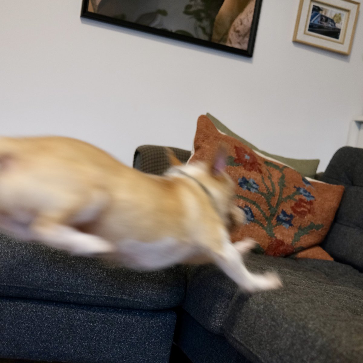 Dobrodošli u Pičkovac tweet media