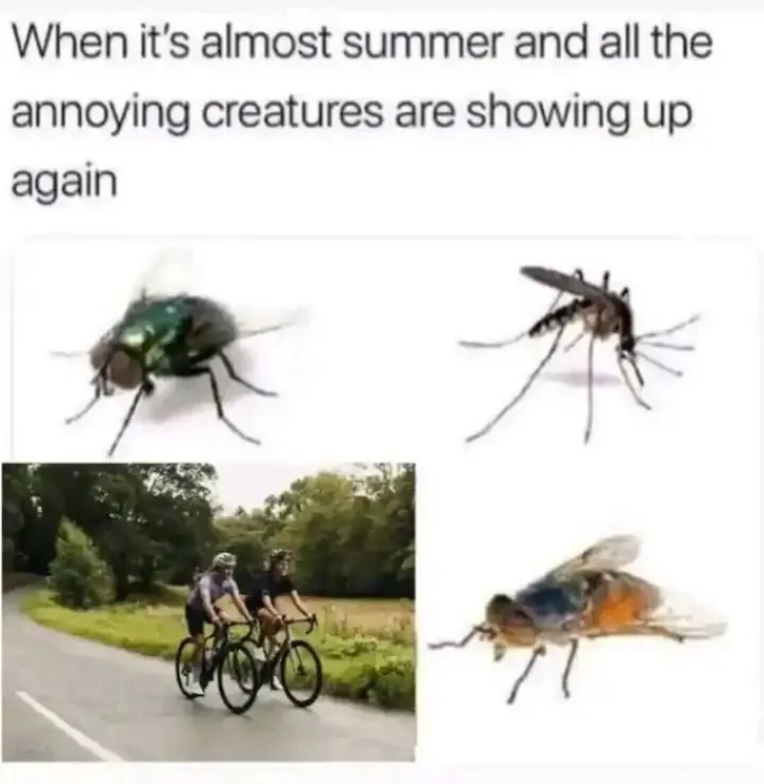 WholesomeMemes tweet media